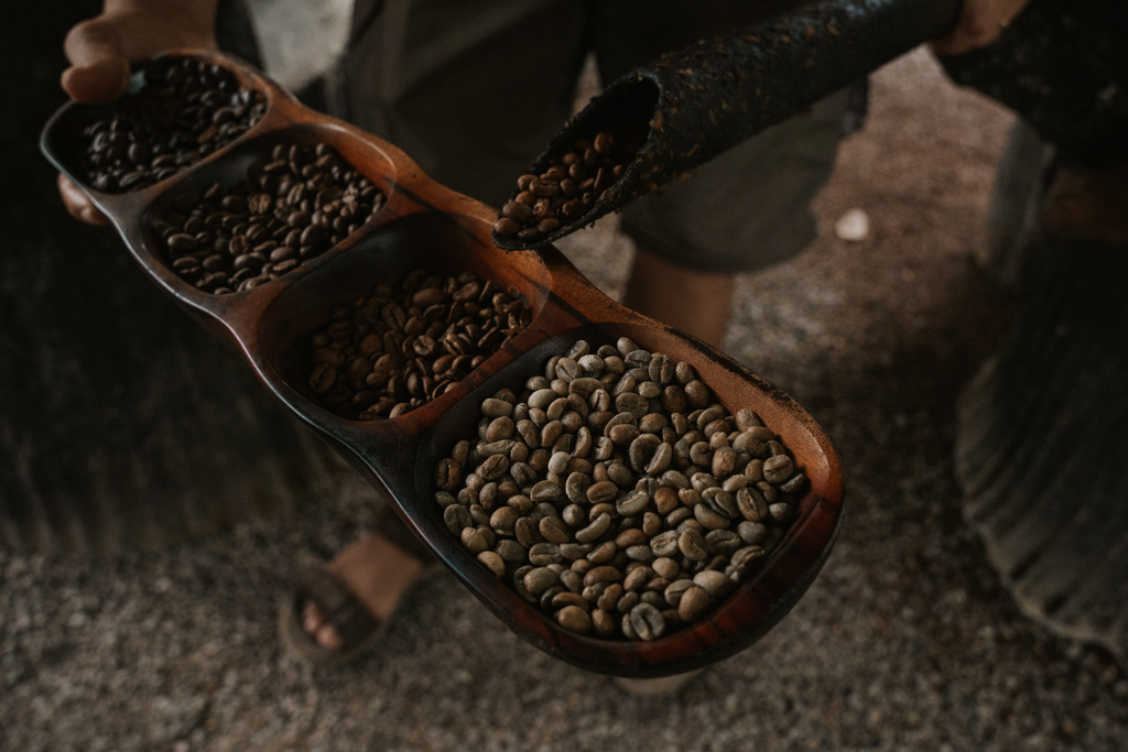 light, medium and dark roasted coffee beans in a tray while learning about coffee in Costa Rica Monteverde attractions