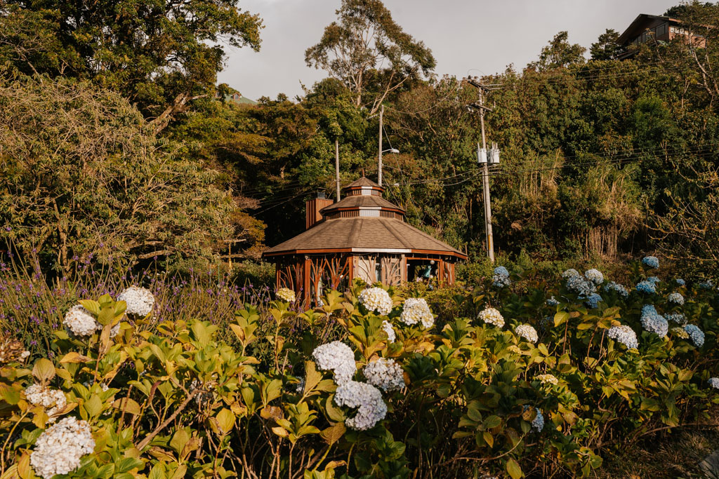 small wood building surrounded by greenery in Costa Rica Monteverde what to do
