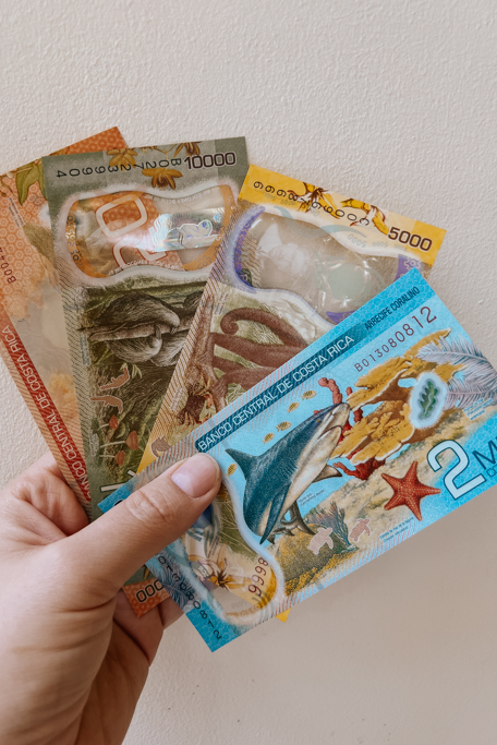 a hand holds four colourful Monteverde Costa Rica currency bills against a white wall