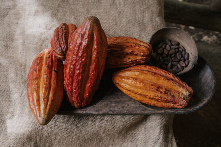 Best Chocolate Tours in La Fortuna: Visiting a Costa Rica Chocolate Farm