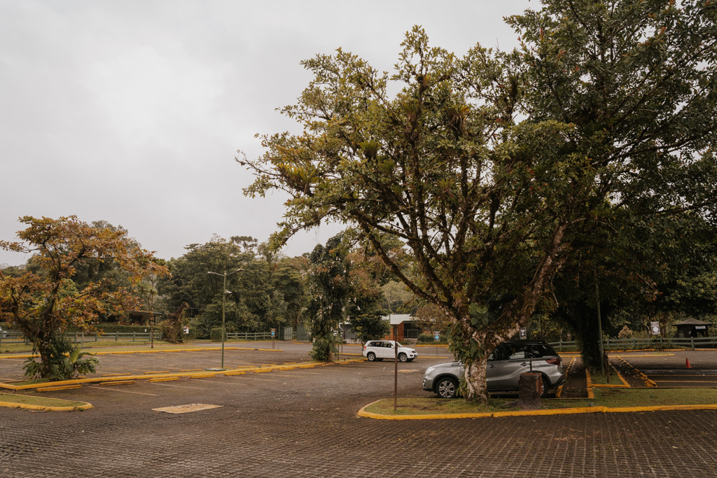 arenal park parking with two light coloured cars and large tree on a cloudy day