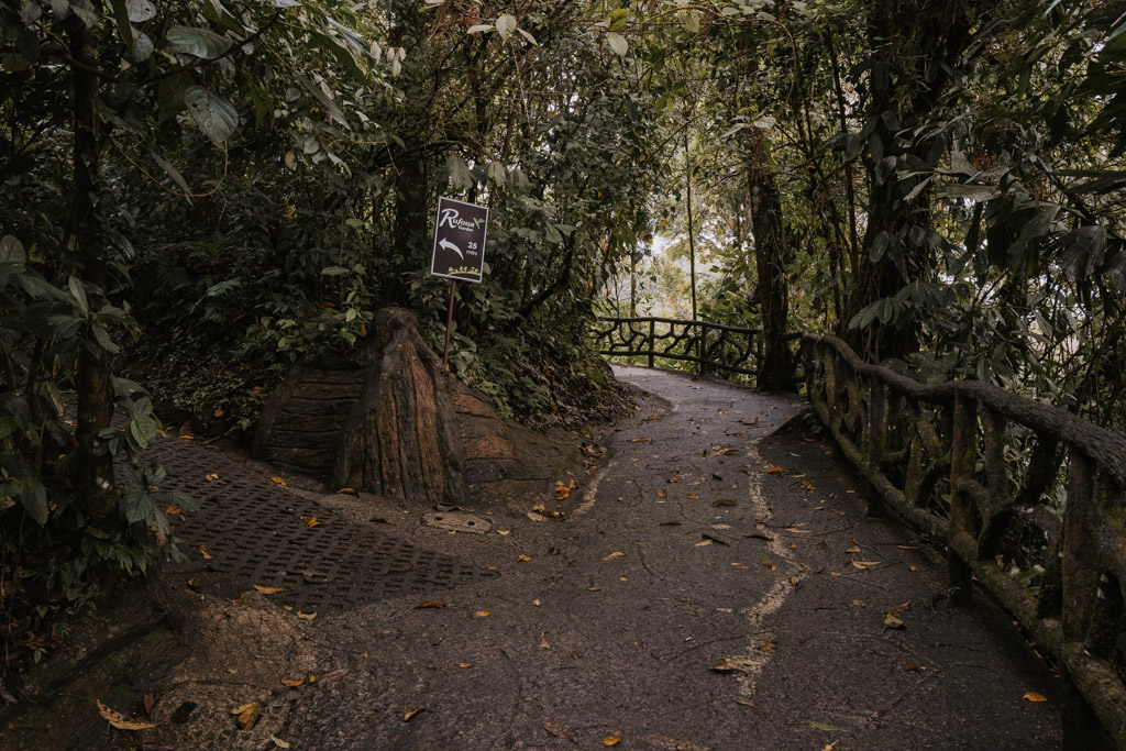 místico arenal hanging bridges pathways through the rainforest