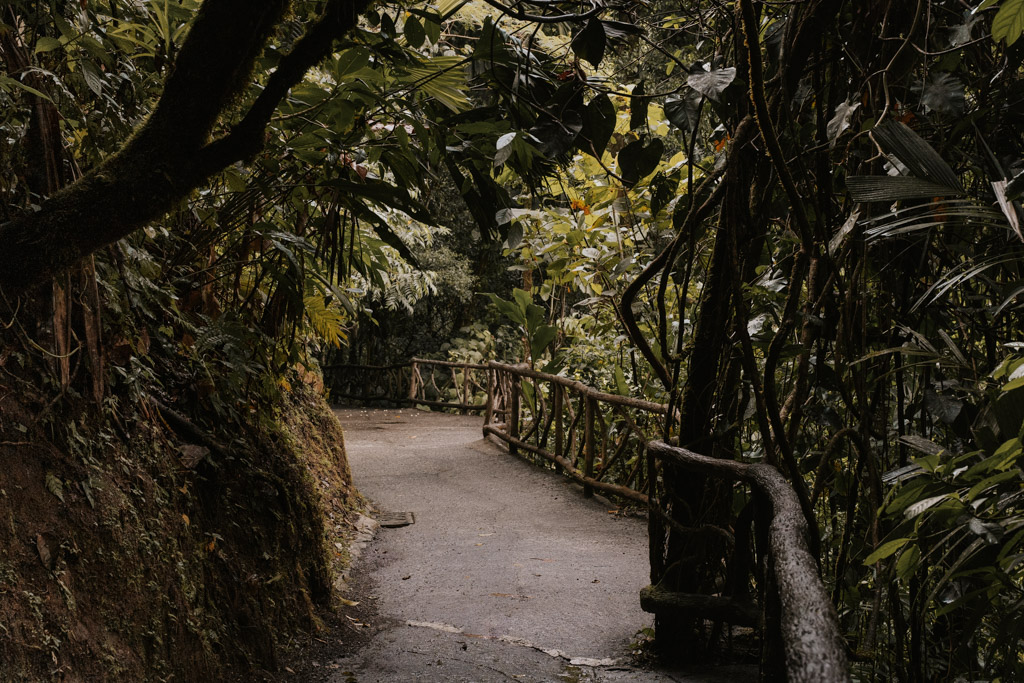 concrete pathway in mistico park