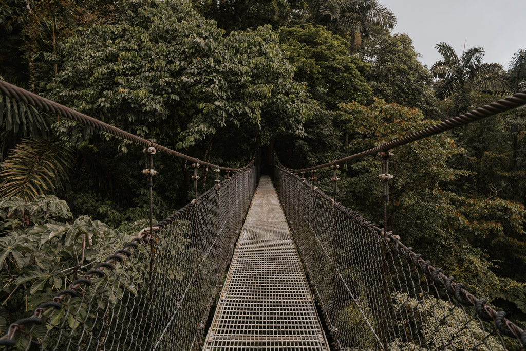 a mistico hanging bridge in La Fortuna hangs above the Costa Rica jungle canopy