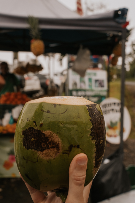 someone holding a coconut at tenorio volcano national park costa rica