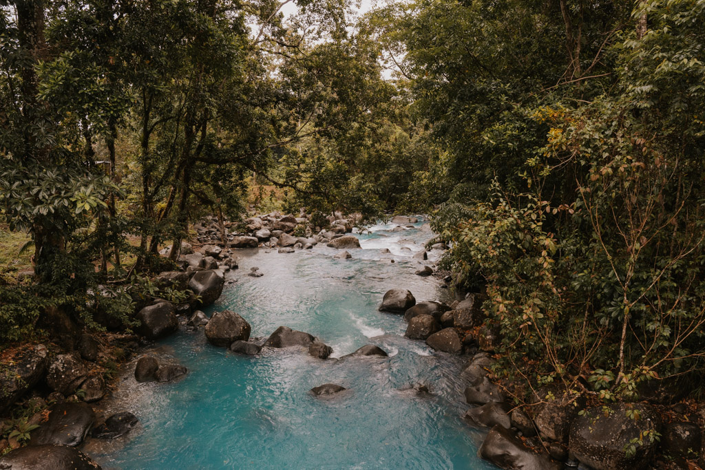 blue celeste river runs between lush rainforest at the rio celeste free pool