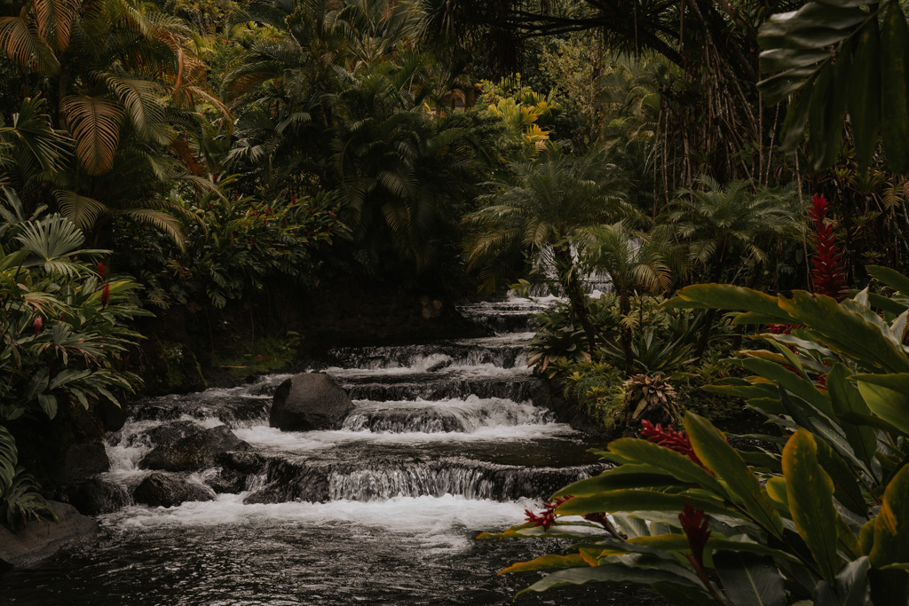 tabacon hot springs with tiered water flowing amongst dense rainforest